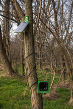 Cargar imagen en el visor de la galería, Daño salvaje Doxmand VR1