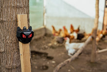 Cargar imagen en el visor de la galería, Ojos rojos: elementos disuasorios ópticos