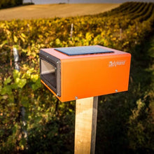 Cargar imagen en el visor de la galería, Doxmand Vogelschreck | www.wildschaden.com